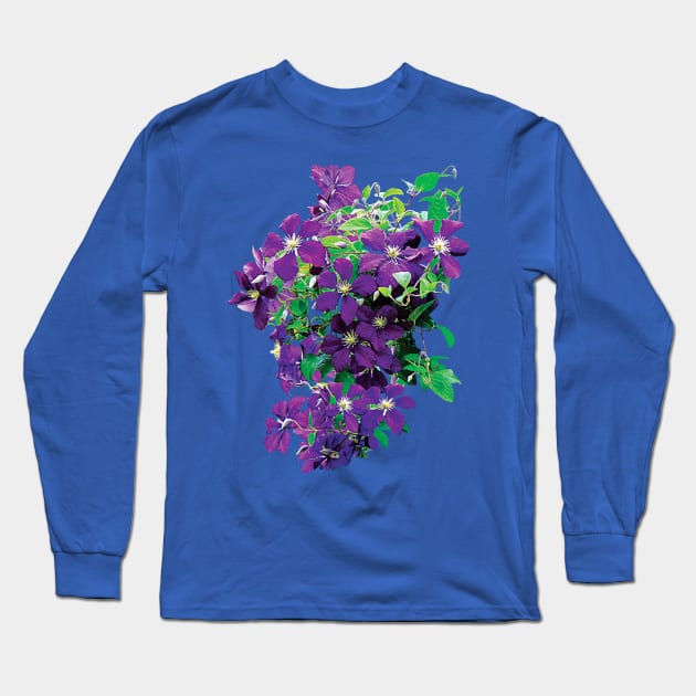 Clematis - Cascade of Clematis Long Sleeve T-Shirt by SusanSavad